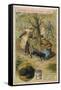 Dogs of Perigord (France) Sniffing for Truffles-null-Framed Stretched Canvas