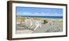 Dogs on a Deck-Carol Saxe-Framed Art Print