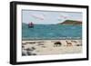 Dogs on Beach and Boat-Sophie Harding-Framed Giclee Print