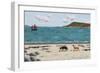 Dogs on Beach and Boat-Sophie Harding-Framed Giclee Print