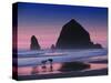 Dogs on Cannon Beach-Jody Miller-Stretched Canvas