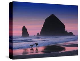 Dogs on Cannon Beach-Jody Miller-Stretched Canvas