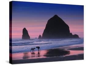 Dogs on Cannon Beach-Jody Miller-Stretched Canvas