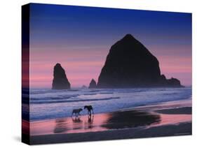 Dogs on Cannon Beach-Jody Miller-Stretched Canvas