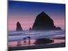 Dogs on Cannon Beach-Jody Miller-Mounted Photographic Print