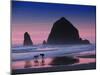 Dogs on Cannon Beach-Jody Miller-Mounted Photographic Print