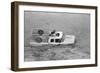 Dogs on Truck in Flood Waters-null-Framed Photographic Print