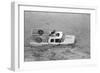 Dogs on Truck in Flood Waters-null-Framed Photographic Print