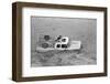 Dogs on Truck in Flood Waters-null-Framed Photographic Print