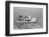Dogs on Truck in Flood Waters-null-Framed Photographic Print