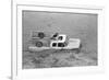 Dogs on Truck in Flood Waters-null-Framed Photographic Print