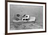 Dogs on Truck in Flood Waters-null-Framed Photographic Print