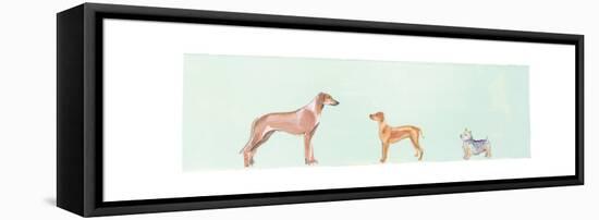 Dogs Panel II-Debbie Nicholas-Framed Stretched Canvas