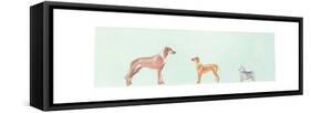 Dogs Panel II-Debbie Nicholas-Framed Stretched Canvas