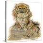 Dogs, Pekingese, Dawson-Lucy Dawson-Stretched Canvas