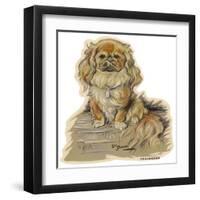 Dogs, Pekingese, Dawson-Lucy Dawson-Framed Art Print