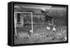 Dogs Playing Soccer-null-Framed Stretched Canvas