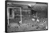 Dogs Playing Soccer-null-Framed Stretched Canvas