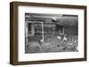 Dogs Playing Soccer-null-Framed Photographic Print