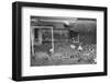 Dogs Playing Soccer-null-Framed Photographic Print