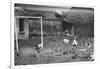 Dogs Playing Soccer-null-Framed Photographic Print