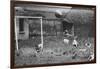 Dogs Playing Soccer-null-Framed Photographic Print