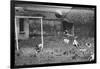 Dogs Playing Soccer-null-Framed Photographic Print