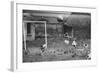 Dogs Playing Soccer-null-Framed Photographic Print