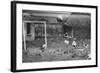 Dogs Playing Soccer-null-Framed Photographic Print