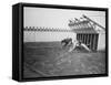 Dogs Racing with Monkeys on their Backs-null-Framed Stretched Canvas