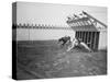 Dogs Racing with Monkeys on their Backs-null-Stretched Canvas