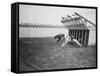 Dogs Racing with Monkeys on their Backs-null-Framed Stretched Canvas