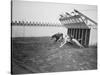 Dogs Racing with Monkeys on their Backs-null-Stretched Canvas