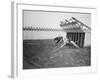 Dogs Racing with Monkeys on their Backs-null-Framed Photographic Print