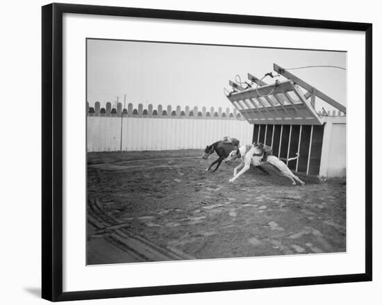 Dogs Racing with Monkeys on their Backs-null-Framed Photographic Print