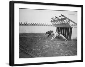 Dogs Racing with Monkeys on their Backs-null-Framed Photographic Print