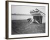 Dogs Racing with Monkeys on their Backs-null-Framed Photographic Print