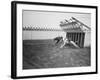 Dogs Racing with Monkeys on their Backs-null-Framed Photographic Print