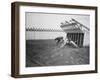 Dogs Racing with Monkeys on their Backs-null-Framed Photographic Print