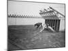 Dogs Racing with Monkeys on their Backs-null-Mounted Photographic Print