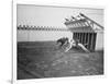 Dogs Racing with Monkeys on their Backs-null-Framed Photographic Print
