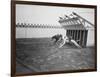 Dogs Racing with Monkeys on their Backs-null-Framed Photographic Print