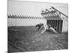 Dogs Racing with Monkeys on their Backs-null-Mounted Photographic Print