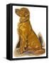 Dogs, Retriever, Dawson-Lucy Dawson-Framed Stretched Canvas
