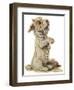 Dogs, Sealyham, Dawson-Lucy Dawson-Framed Photographic Print