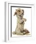 Dogs, Sealyham, Dawson-Lucy Dawson-Framed Photographic Print