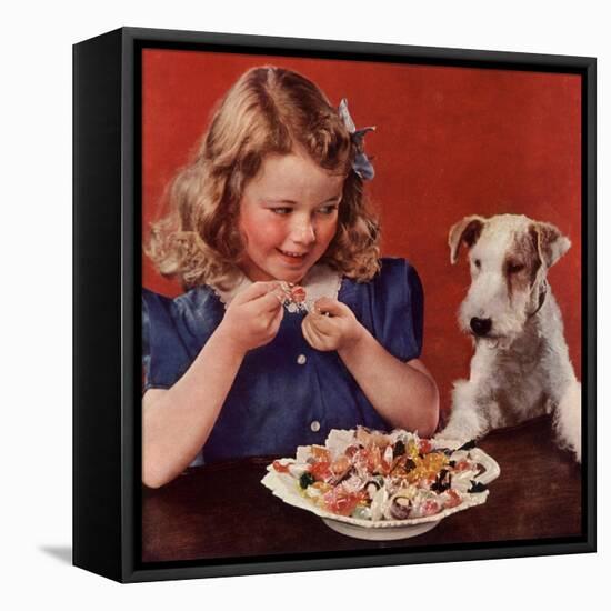 Dogs Sweets, USA, 1950-null-Framed Stretched Canvas