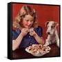 Dogs Sweets, USA, 1950-null-Framed Stretched Canvas