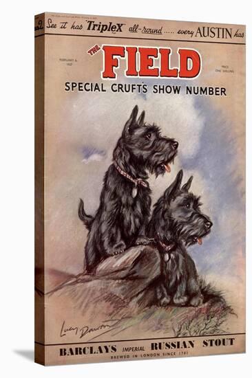 Dogs, UK, 1930-null-Stretched Canvas