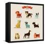 Dogs Vector Set of Icons and Illustrations-Marish-Framed Stretched Canvas